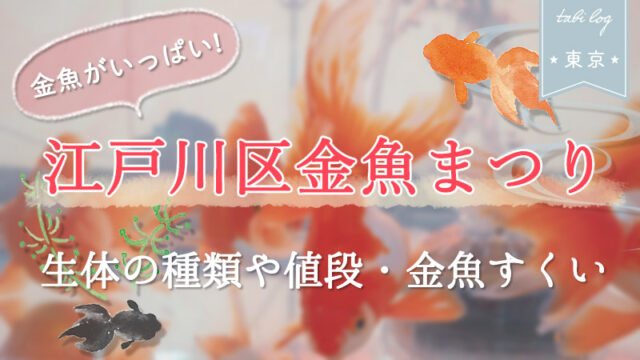 【江戸川区金魚まつり】販売している生体の種類や値段・金魚すくい