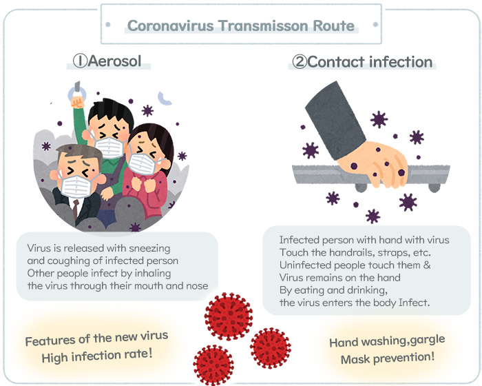 Coronavirus Transmission Route