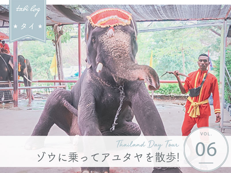 タイ現地ツアー⑥アユタヤで象乗り