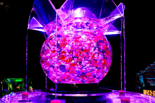 1000匹の金魚が泳ぐ最大級の金魚鉢『花魁』