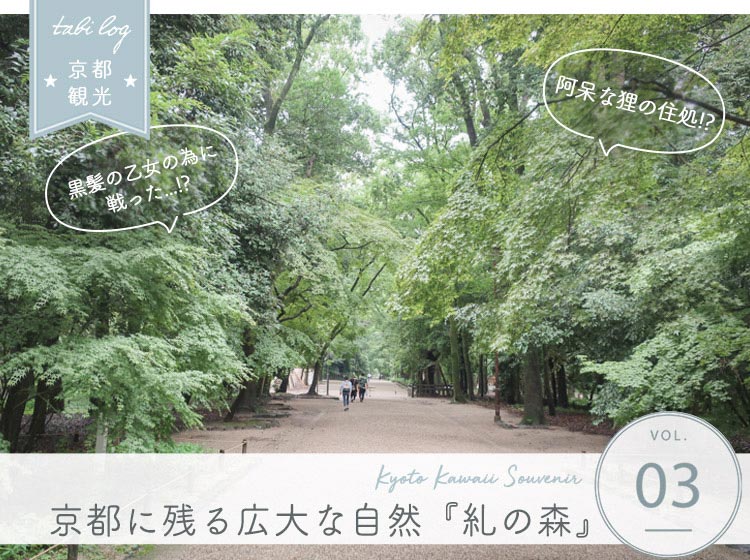 京都に残る広大な森 糺の森さんぽ
